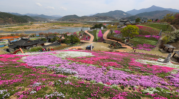 산청 생초 국제 조각공원 꽃잔디 축제 개막 1-1.jpg