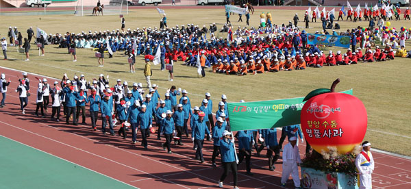 제56회 함양군민체육대회 (자료사진).jpg