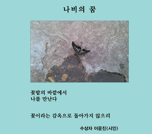 제5회 디카시 작품상 이운진 시인 ‘나비의 꿈’.jpg