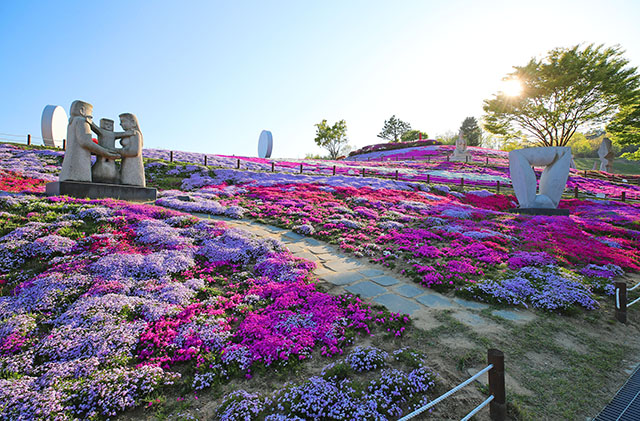 2021년 4월 15일 산청군 생초국제조각공원 꽃잔디 (2).jpg