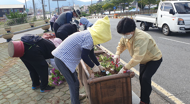 20210910-교동 가로화단 꽃식재 (1).jpg