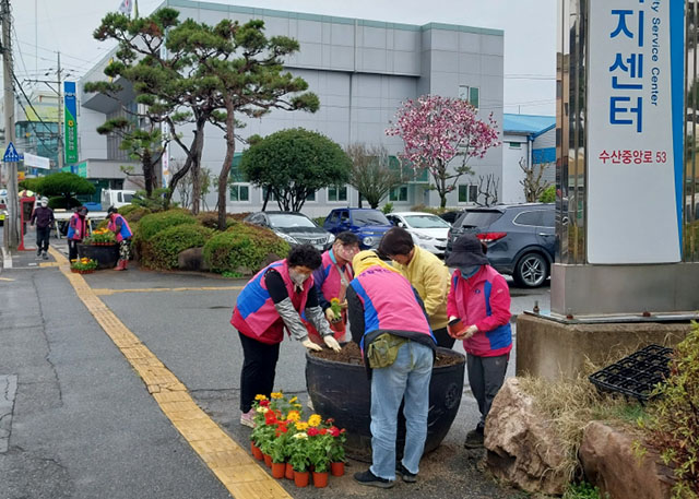 20230324-하남읍 수산시내 도로변 봄꽃 식재(1).jpg