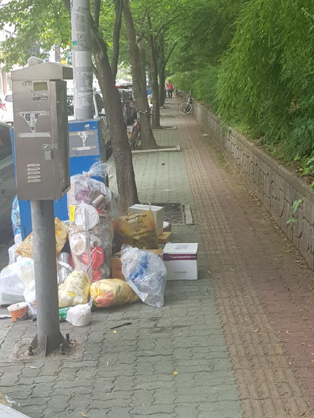 19일 오후 진주시 가좌동 경상대학교 후문을 연결하는 도로변에 쓰레기가 쌓여 있다.