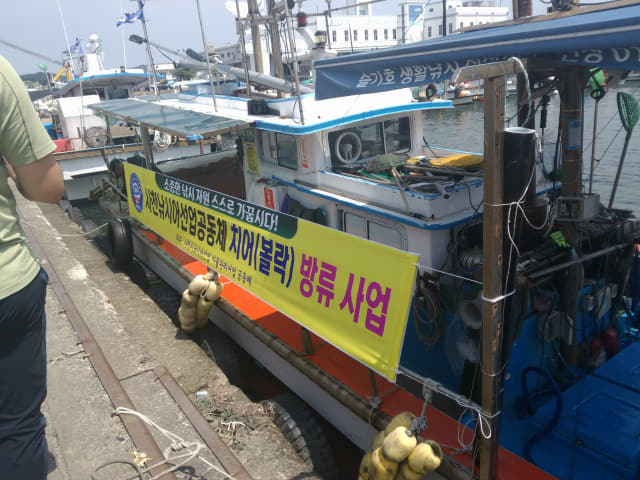 사천시낚시어선업자율관리어업공동체는 지난 25일 동서동 권역 바다목장 해역 일원에 볼락 치어 7만여마리를 방류했다./사천시/
