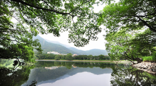 장복산 ‘편백숲 욕(浴)먹는 여행’ 1코스 중 내수면환경생태공원.
