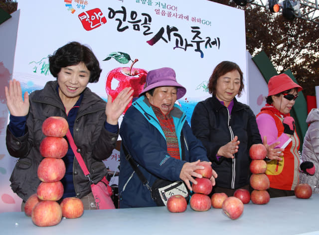 얼음골 사과축제에 참여한 관광객이 사과높이쌓기 대회에 참여하고 있다.(지난해 밀양얼음골 사과축제)