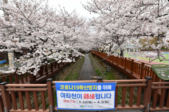 2020년 벚꽃 명소인 창원시 진해구 여좌천 일대가 폐쇄돼 한산하다./경남신문 자료사진/