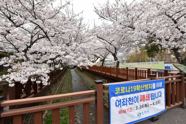 주말인 29일 대표적인 벚꽃 명소인 창원시 진해구 여좌천 일대가 코로나19로 폐쇄돼 한산하다. /전강용 기자/