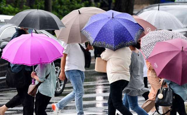 제9호 태풍 ‘마이삭’이 북상 중인 가운데 2일 오후 우산을 쓴 시민들이 창원시 의창구 정우상가 앞 횡 단보도를 건너고 있다./성승건 기자/