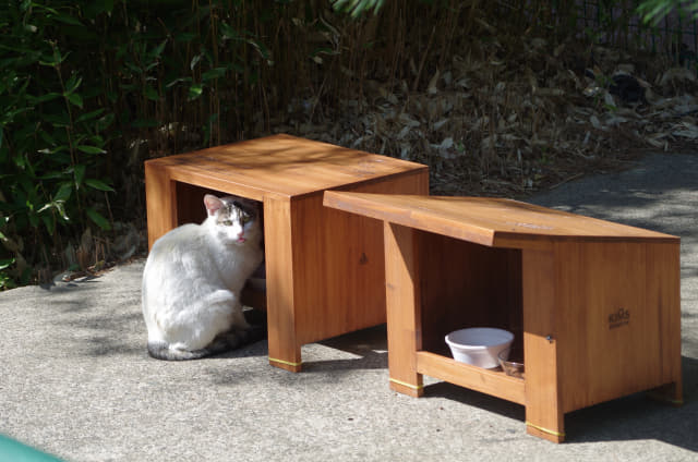 창원길고양이보호협회가 한국재료연구소에 설치한 길고양이 급식소.