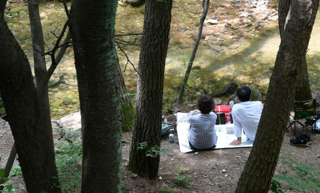 봉암수원지 둘레길 숲속에서 시민들이 휴식을 취하고 있다.
