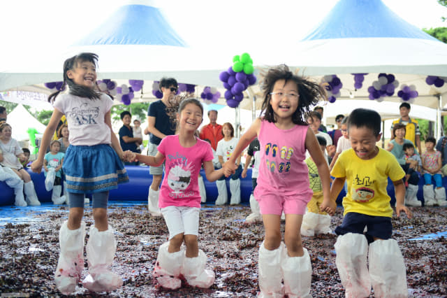 아이들이 2019년 송산포도축제 포도밟기 프로그램에 참여해 즐거운 시간을 보내고 있다./화성시/