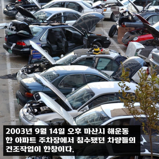 2003년 9월 14일 오후 마산시 해운동 한 아파트 주차장에서 침수됐던 차량들의 건조작업이 한창이다.