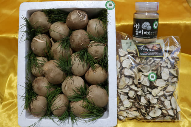 농업회사법인 마루팜(주) 이슬송이버섯.