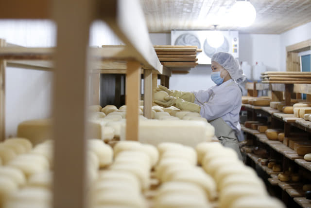임실지역의 한 치즈생산 업체에서 직원이 치즈를 만들고 있는 모습.