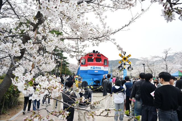 진해 경화역을 찾은 관광객들이 기관차 앞에서 사진을 찍기 위해 줄을 서고 있다.