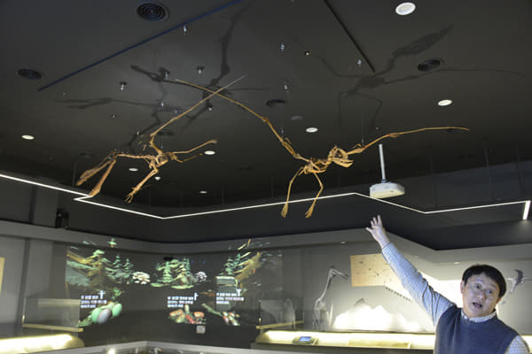 원상호 학예사가 진주의룡박물관에 설치된 익룡에 대해 설명하고 있다.