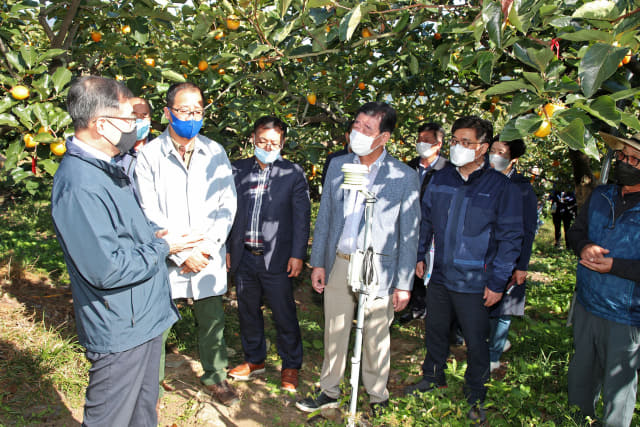 지난 20일 산림청 관계자들이 산청군 떫은감 재배농가를 방문하고 있다./산청군/