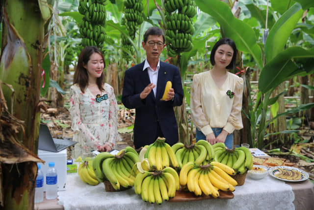 지난 12일 경남농협 윤해진 본부장이 산청 유기농 바나나 라방에 출연해 바나나를 직접 판매하고 있다./경남농협/