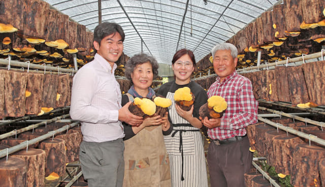 청년농부 전주영(오른쪽 두 번째)씨가 산청 생비량면 농장에서 남편 이준호씨(왼쪽), 아버지 전상수씨(오른쪽), 어머니와 함께 키운 상황버섯을 들어보이고 있다./산청군/
