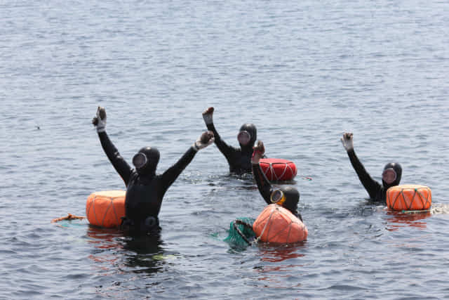 우도소라축제에서 관광객들이 해녀체험을 하고 있다.