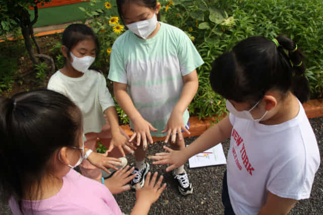 고암초 학생들이 숲 교육 활동으로 봉숭아 물들이기를 한 후 손가락을 펴보이고 있다./고암초/