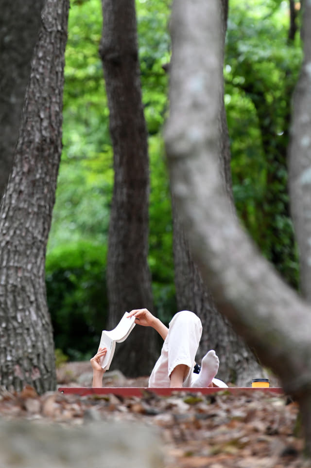 18일 오후 창원시 성산구 용지호수공원에서 한 시민이 나무 그늘 아래에서 독서를 하고 있다./성승건 기자/
