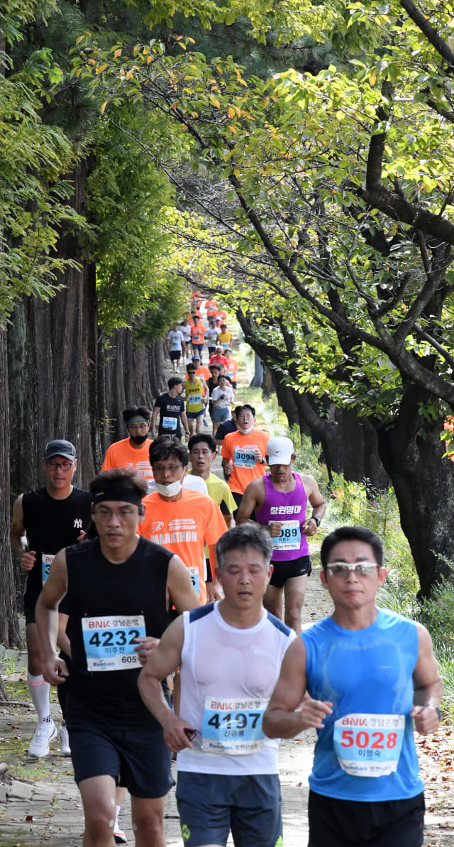 제18회 야철 마라톤대회 10㎞ 부문 참가자들이 창원 도심을 달리고 있다./성승건 기자/