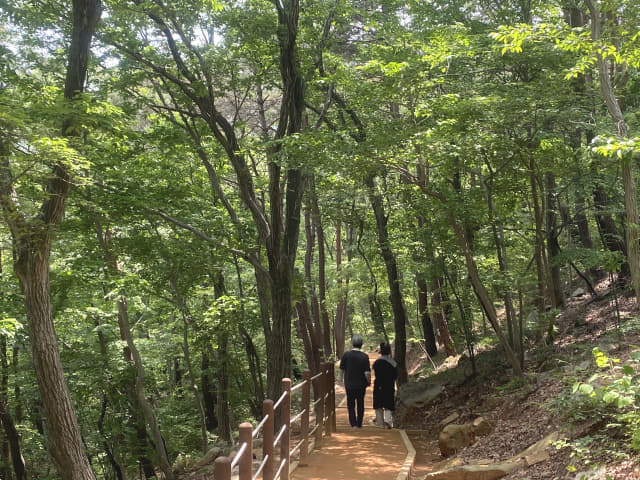 성주사 ‘황토곰숲길’을 걷고 있는 시민들.