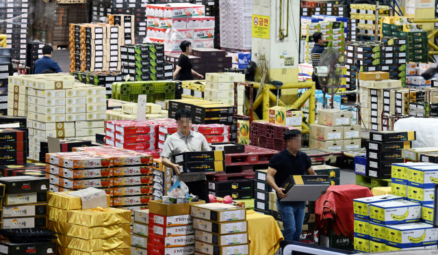 추석 연휴를 일주일 앞둔 21일 창원 팔용농산물도매시장에서 시민들이 과일을 구입하고 있다./김승권 기자/